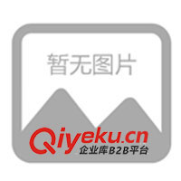 供應(yīng)各類高中檔的、賈卡花邊、電腦網(wǎng)眼提花(圖)